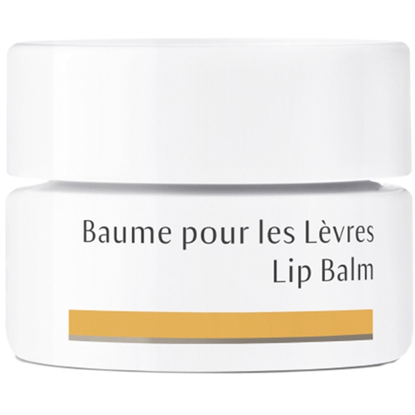 Dr Hauschka Lip Balm