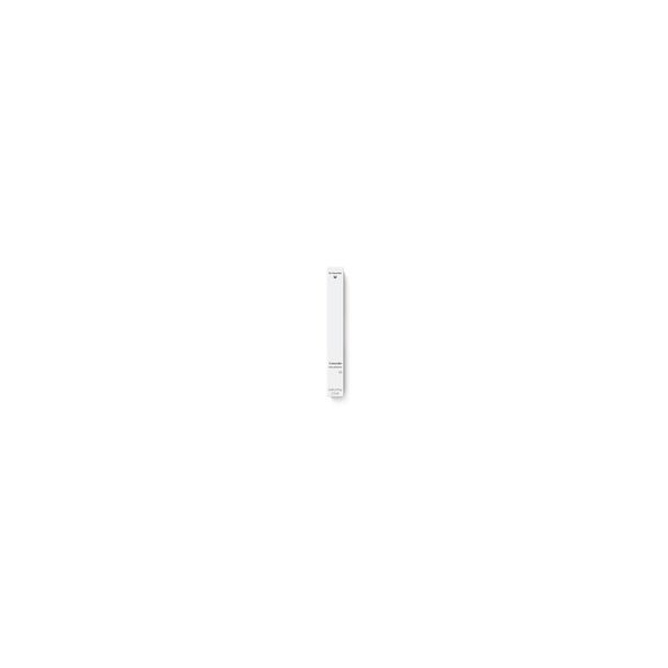 Dr Hauschka Concealer