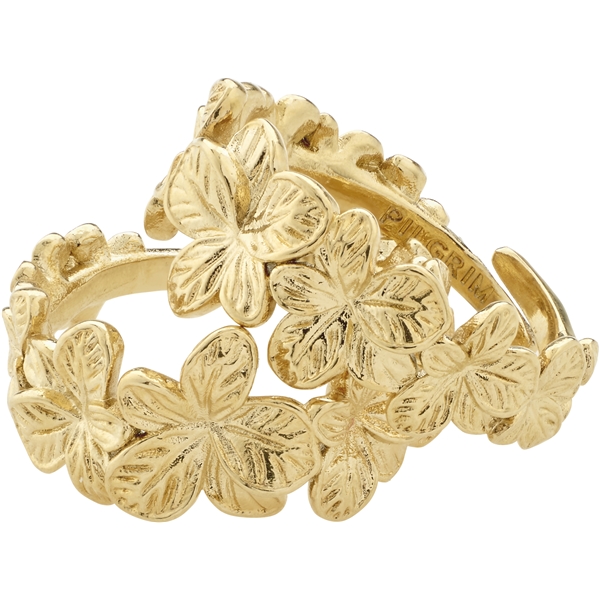 27243-2014 CHARMAINE Rings 2 In 1 Set