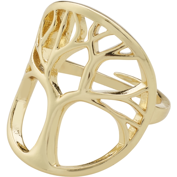 61243-2004 ALIA Ring